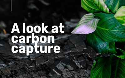 A look at carbon capture